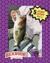 Load image into Gallery viewer, BACKWORMS
